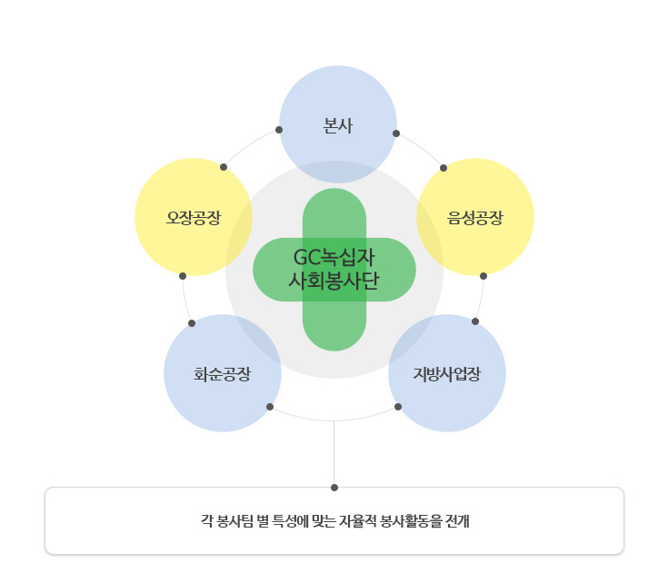 GC녹십자사회봉사단 - 본사-음성공장-지방사업장-화순공장-오장공장 - 각 봉사팀 별 특성에 맞는 자율적 봉사활동을 전개